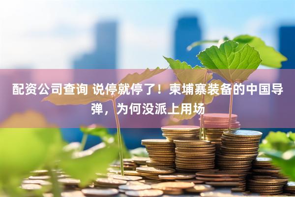 配资公司查询 说停就停了！柬埔寨装备的中国导弹，为何没派上用场
