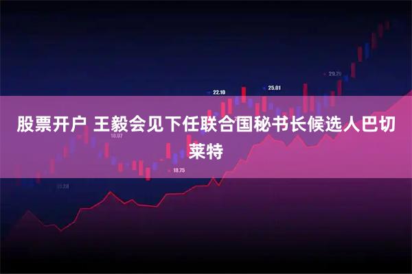 股票开户 王毅会见下任联合国秘书长候选人巴切莱特